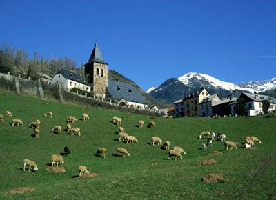 Vista de Plan