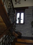 Casa Perico - Borrastre