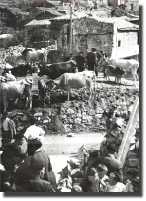 Feria de ganado de Biescas a principios del s.XX