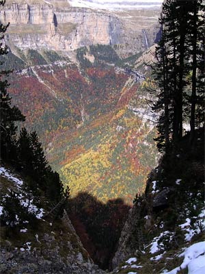 Valle de Ordesa en Otoño desde Faja Pelay Valle de Ordesa en Otoño desde Faja Pelay