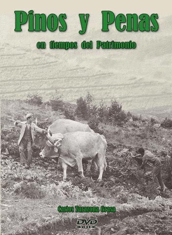 pinos y penas - portada
