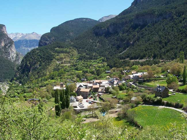 saravillo